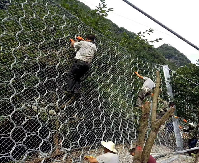 1645668026915410.jpg 1115248132161540.jpg