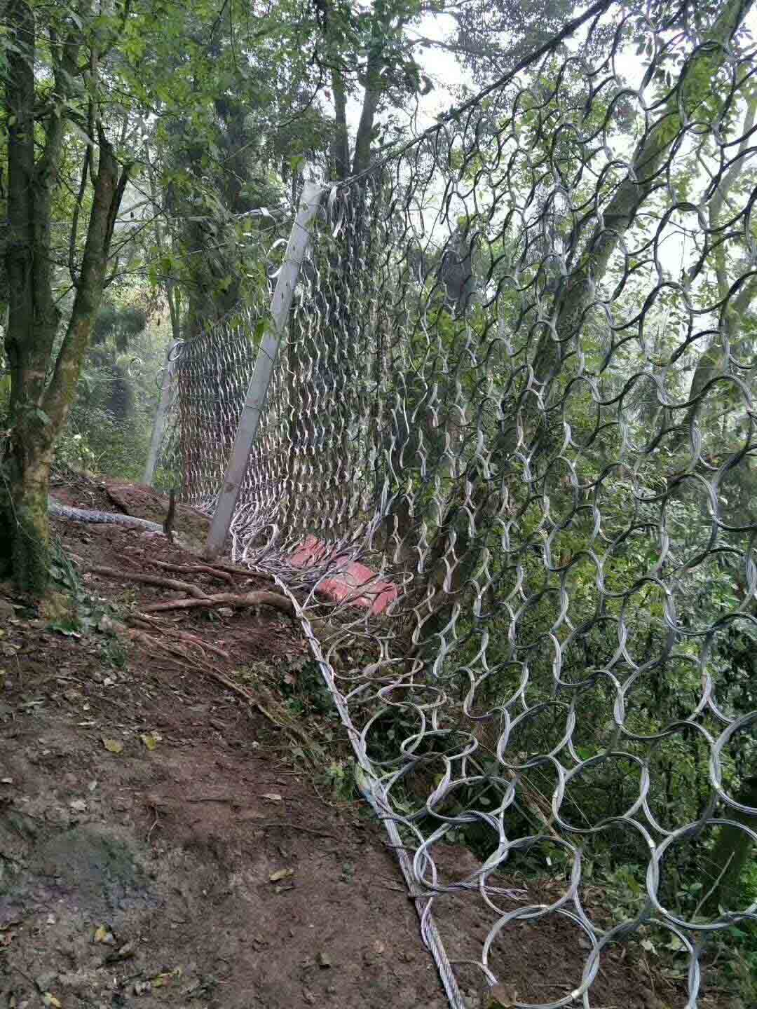 1669794138247055.jpg 84681866a0cb8a586081e84fc6fad51.jpg