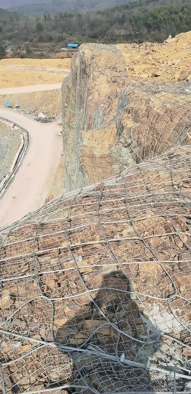 1679562787398214.jpg 0e2442a7d933c895f50f0881eaae95fb8302001b.webp.jpg